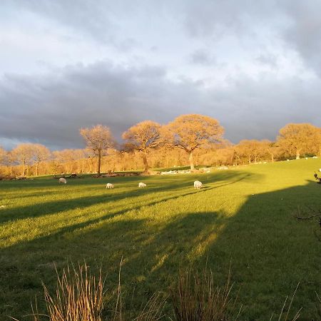 Dryw Bach Glamping Hut Hotel Llandeilo Bagian luar foto