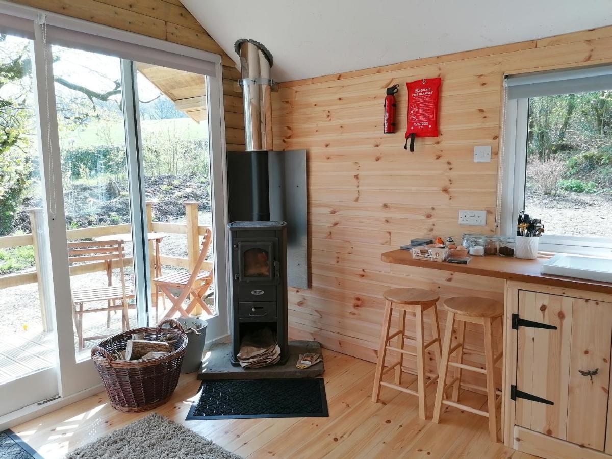 Dryw Bach Glamping Hut Hotel Llandeilo Bagian luar foto