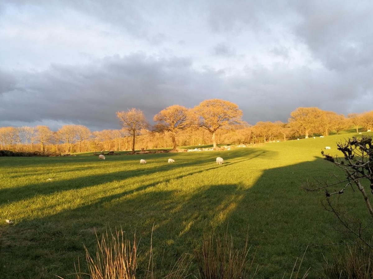 Dryw Bach Glamping Hut Hotel Llandeilo Bagian luar foto