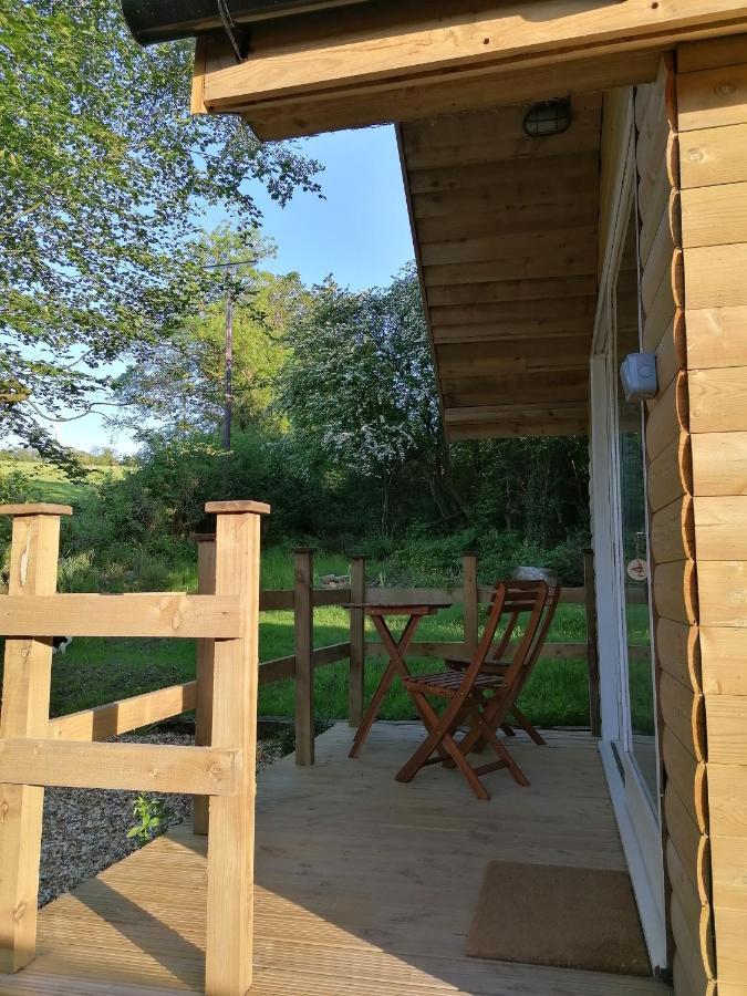 Dryw Bach Glamping Hut Hotel Llandeilo Bagian luar foto