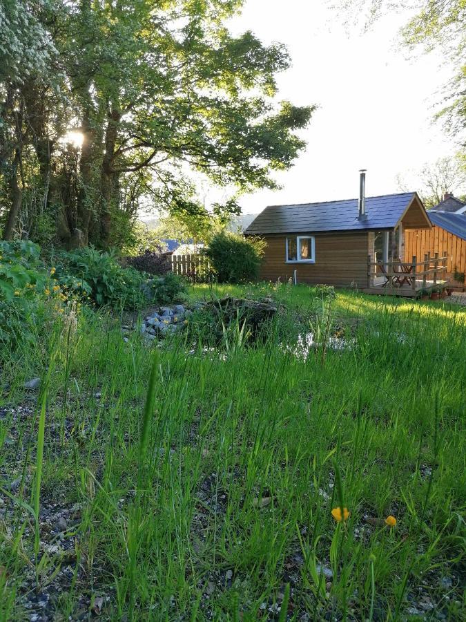 Dryw Bach Glamping Hut Hotel Llandeilo Bagian luar foto