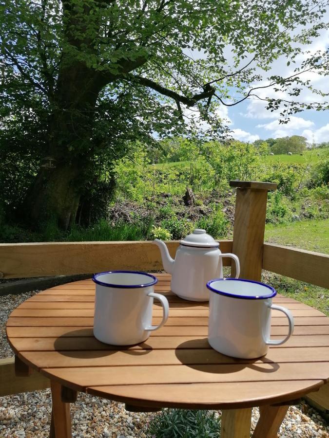 Dryw Bach Glamping Hut Hotel Llandeilo Bagian luar foto