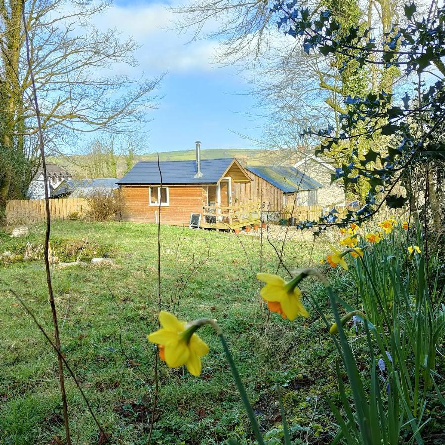 Dryw Bach Glamping Hut Hotel Llandeilo Bagian luar foto