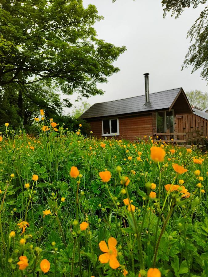 Dryw Bach Glamping Hut Hotel Llandeilo Bagian luar foto